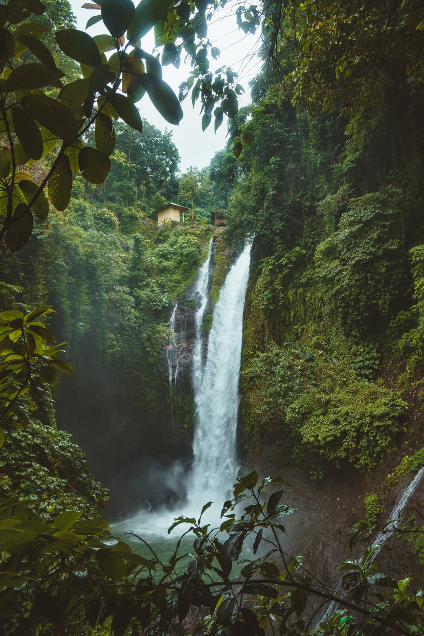 landscape photography of waterfalls surrounded by green leafed plants